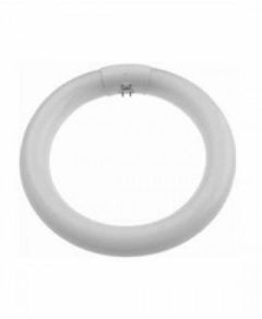 Magnifier Classic Flourescent - 22W daylight circular tube