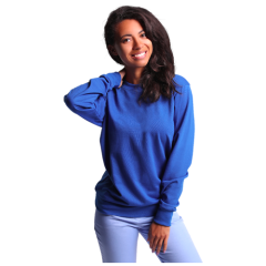 Blue ESD Sweatshirt
